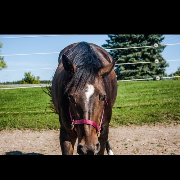 Meet your Posher, Ashly - Picture 1 of 1